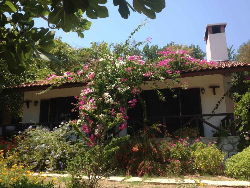 Selimiye Houses Selimiye (Aegean) Exterior foto